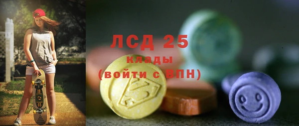 винт Богданович