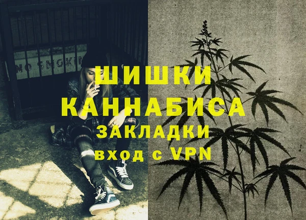 винт Богданович