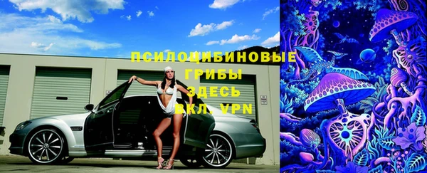 винт Богородицк