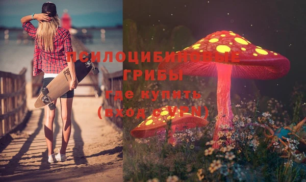 винт Богданович
