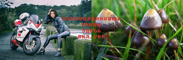 mdpv Бронницы