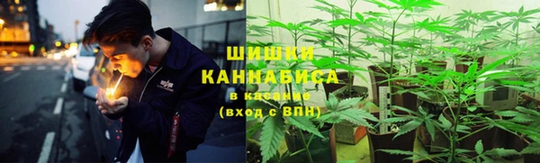 винт Богданович